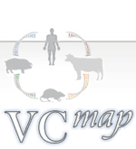 VCMap